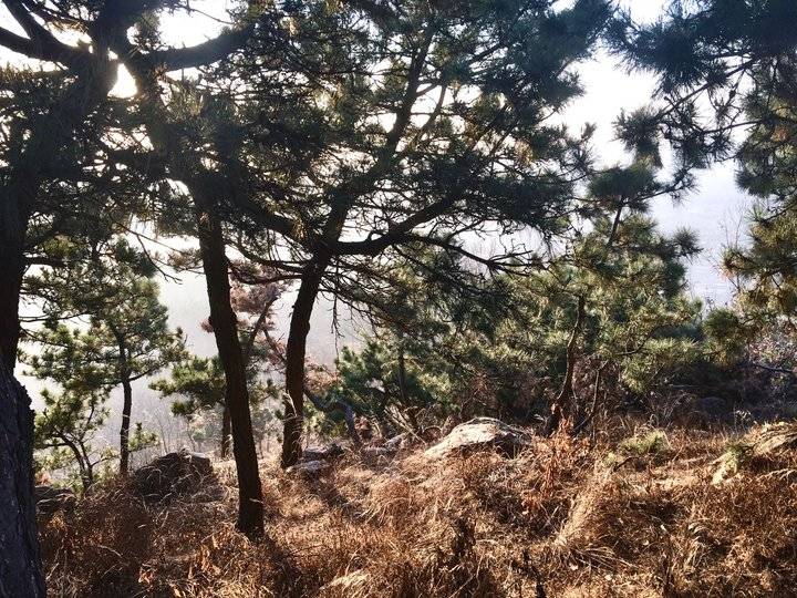 齐鲁晚报网-山东新闻门户 传播品质资讯